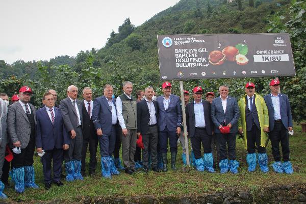 TMO Genel Müdürü Ahmet Güldal Trabzon’da fındık hasat şenliğine katıldı:
